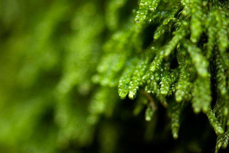 _DSC5909.jpg