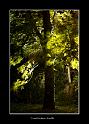 _DSC1764
