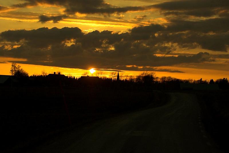 DSC_2936-01.jpg