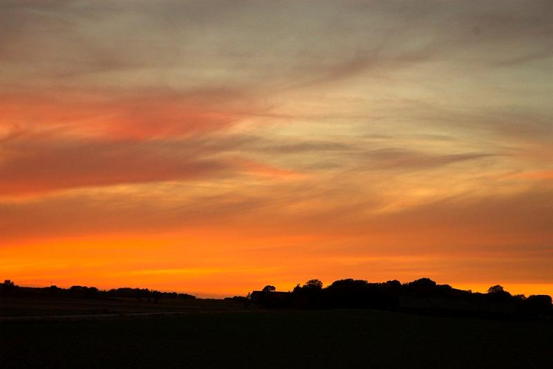 DSC_3128-01.jpg