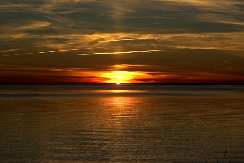 DSC_4251-01.jpg