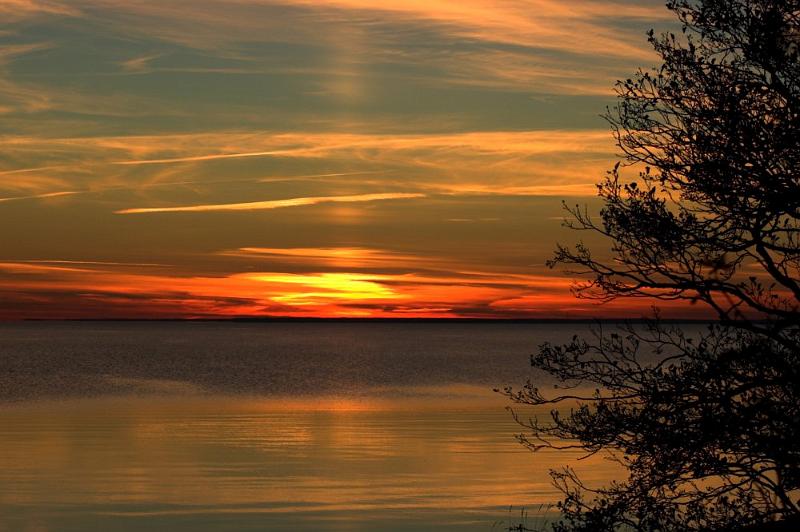 DSC_4258-01.jpg