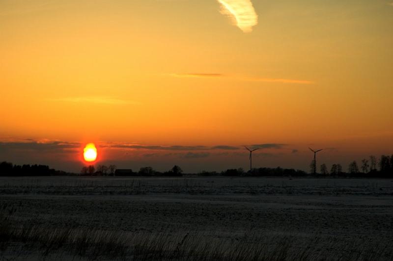 DSC_7408-01.jpg