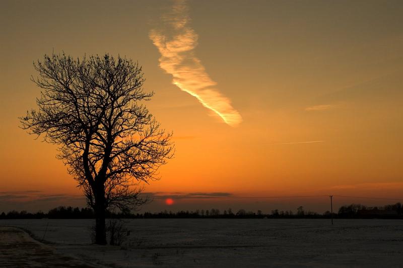 DSC_7424-01.jpg