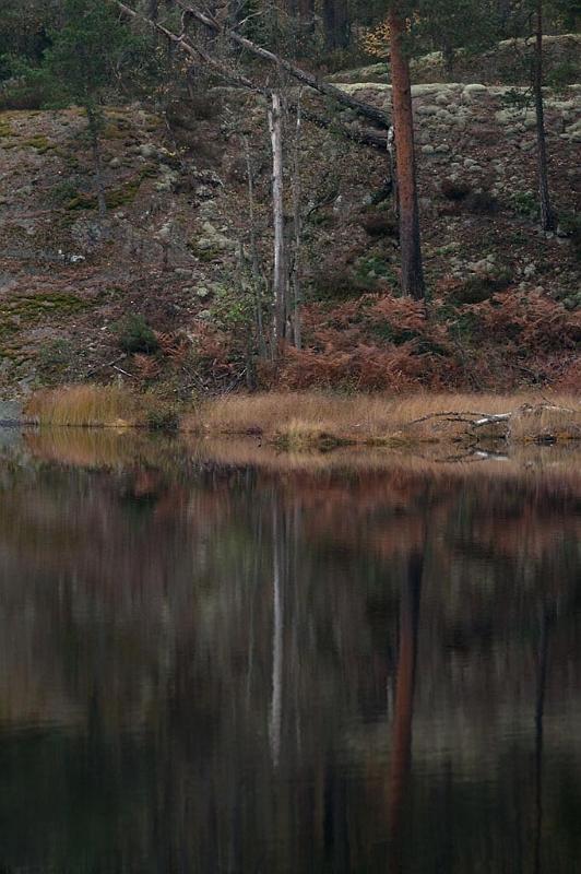 _DSC1905.jpg